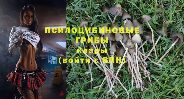 МДПВ Арсеньев