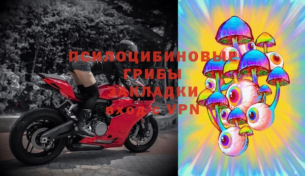 МДПВ Арсеньев