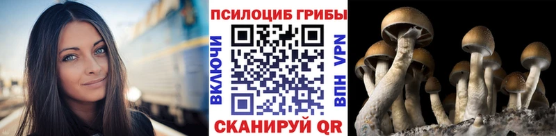 купить закладку  Новоуральск  blacksprut   Галлюциногенные грибы мицелий 